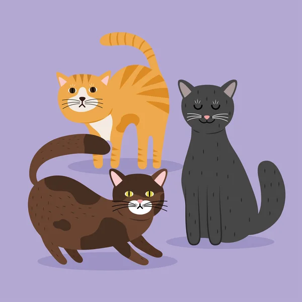 Üç kedinin demeti farklı renkte maskotlar — Stok Vektör