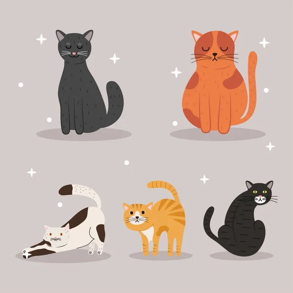 Pacote de cinco gatos diferentes cores mascotes personagens — Vetor de Stock