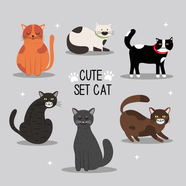 Δέσμη έξι μασκότ γάτες και γράμματα — Διανυσματικό Αρχείο