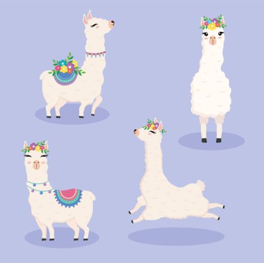 Şirin un alpakalar. Çiçekli egzotik hayvanlar.