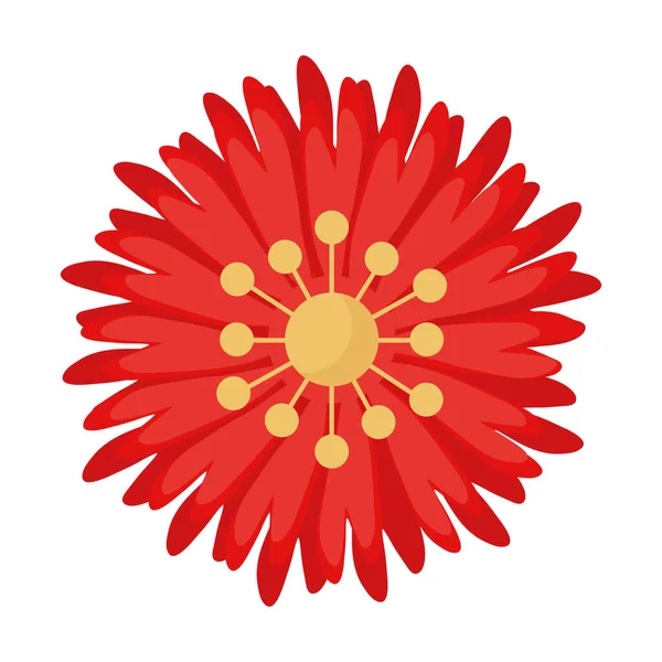 Red and yellow flower garden plant decoration icon — Stock Vector