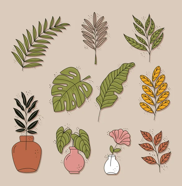 Bundel van tien boho stijl bladeren planten decoratieve natuur pictogrammen — Stockvector