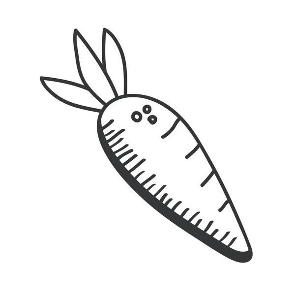 Desenho de mão de cenoura vegetal e design de vetor ícone de estilo de linha —  Vetores de Stock