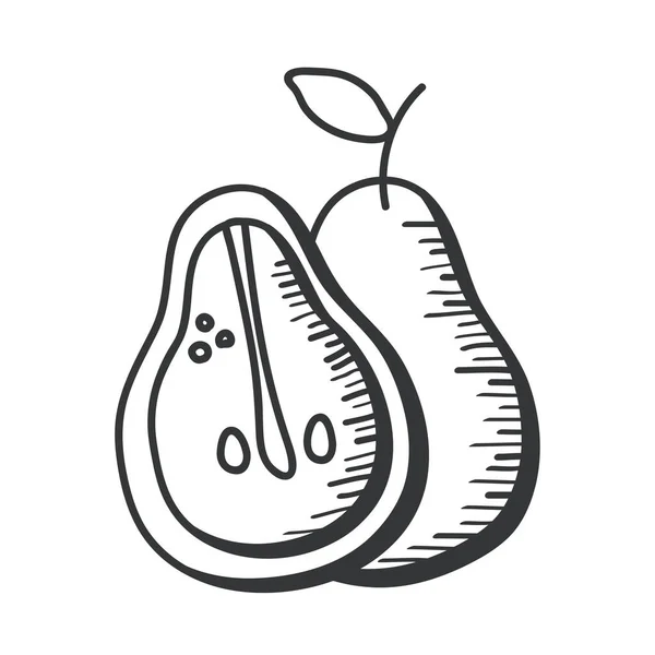 Pear fruit hand draw and line style icon vector design — Stock Vector