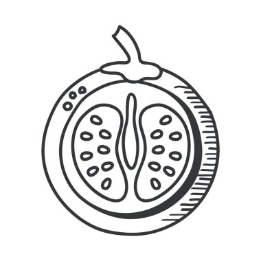domates sebze el çizimi ve çizgi biçimi ikon vektör tasarımı