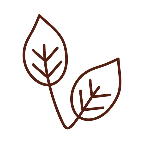 İki yapraklı yaprak çizgi biçim vektör tasarımı — Stok Vektör