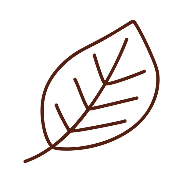 Дизайн вектора символа листа осени — стоковый вектор