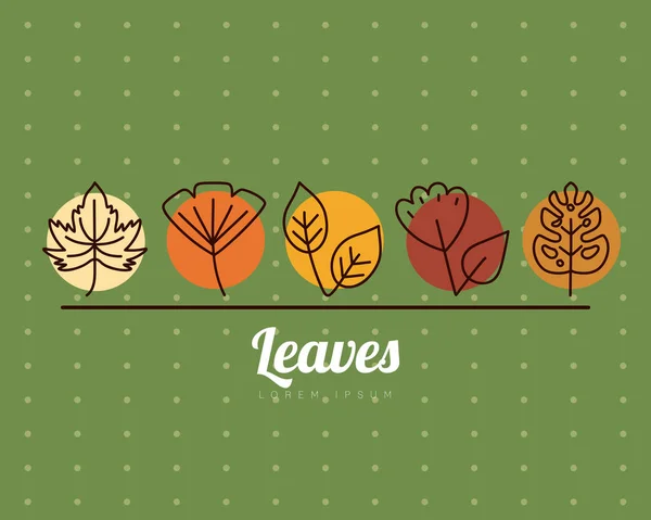 Leaves line style icons on pointed background vector design — Stock Vector