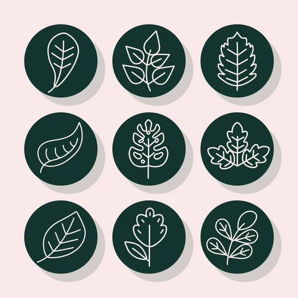 Leaves line style icon set vector design — Stock Vector