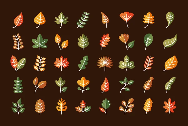 Leaves line and fill style icon collection vector design — Stock Vector
