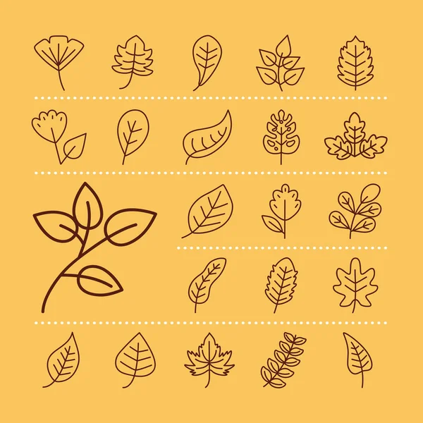 Leaves line style set of symbols vector design — Stock Vector