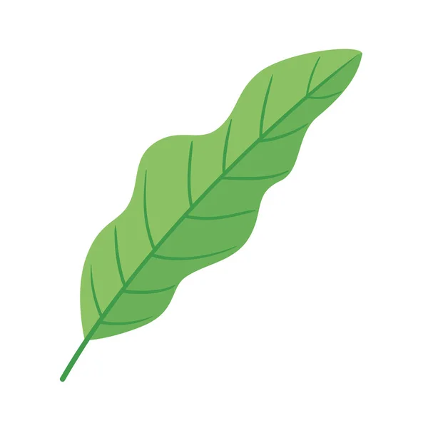 Hoja planta ecología naturaleza icono — Vector de stock
