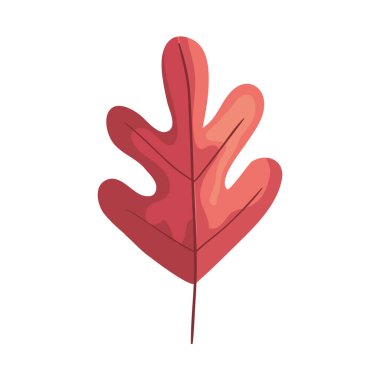 pembe sonbahar yapraklı bitki yaprağı simgesi