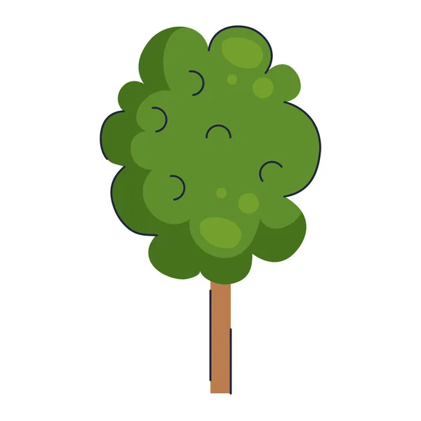 Árbol planta naturaleza aislado icono — Vector de stock