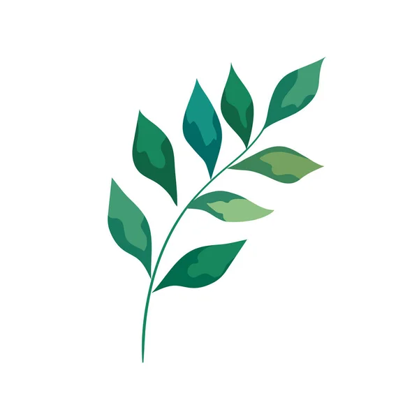 Gren med blad växt blad ikon — Stock vektor