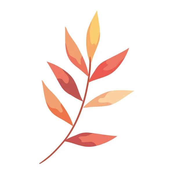 Herfst tak met bladeren plant gebladerte pictogram — Stockvector