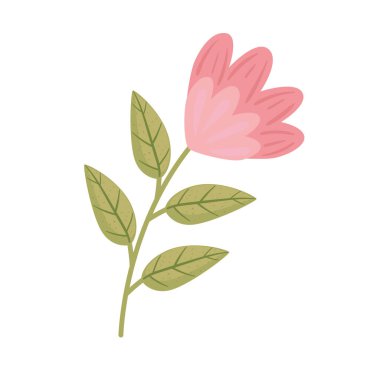 pembe gül çiçeği ve yapraklar renk dekorasyonu