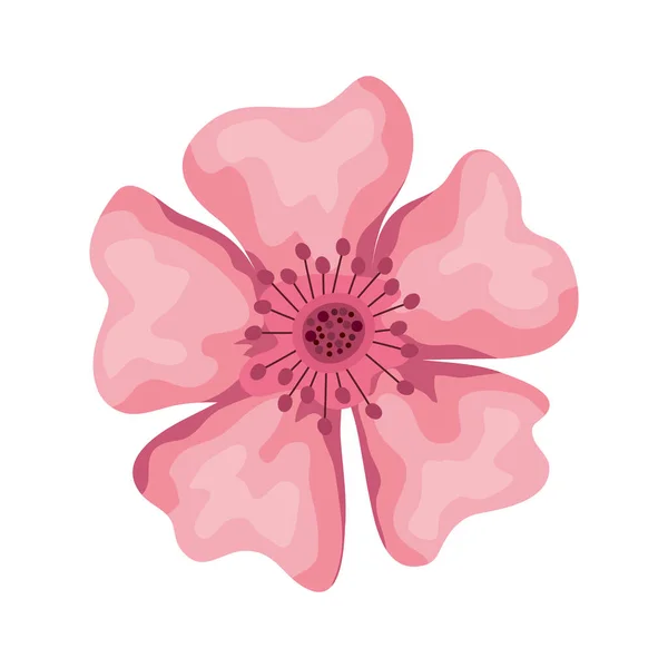 Schöne Blume Farbe rosa Natur Symbol — Stockvektor