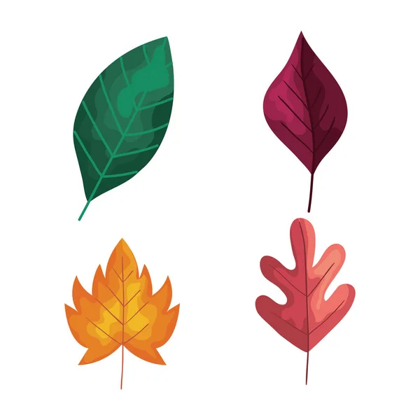 Bundle of four autumn leafs plants foliage icons — Stock Vector