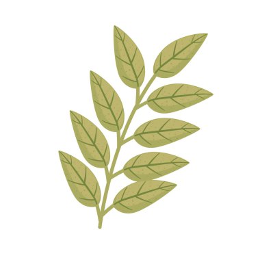 Yapraklı dal bitki ekolojisi simgesi