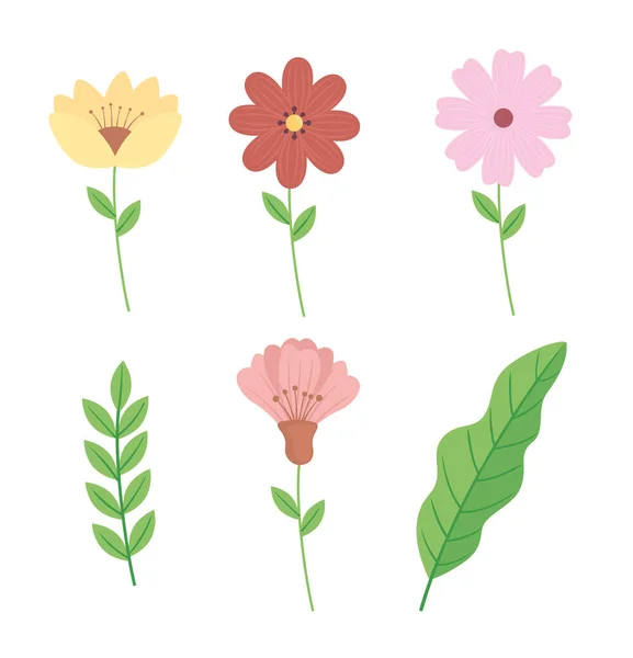 Bundel bloemen en bladeren decoratie — Stockvector