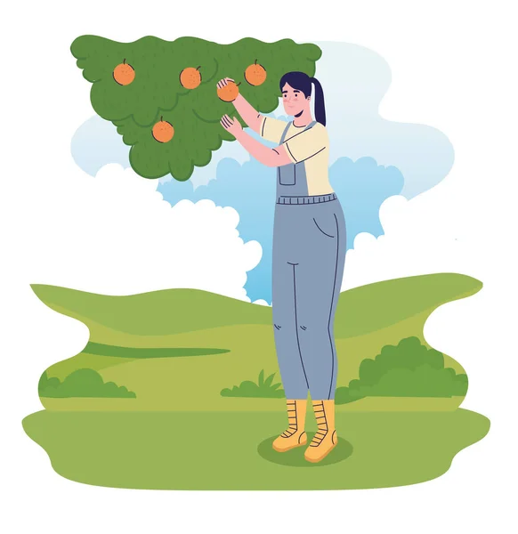 Αγρότισσα που καλλιεργεί πορτοκάλια στο στρατόπεδο — Διανυσματικό Αρχείο