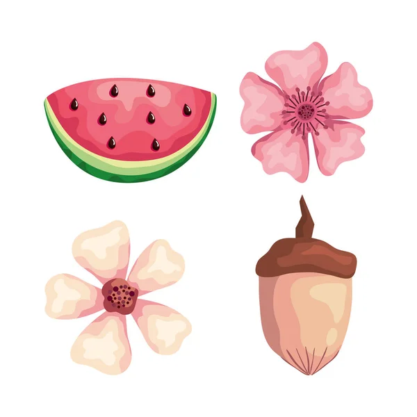 Hermosas flores con sandía y nuez — Vector de stock