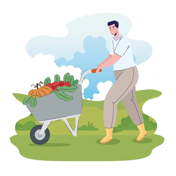 Farmer man with vegetables in wheelbarrow on the field — Stock Vector