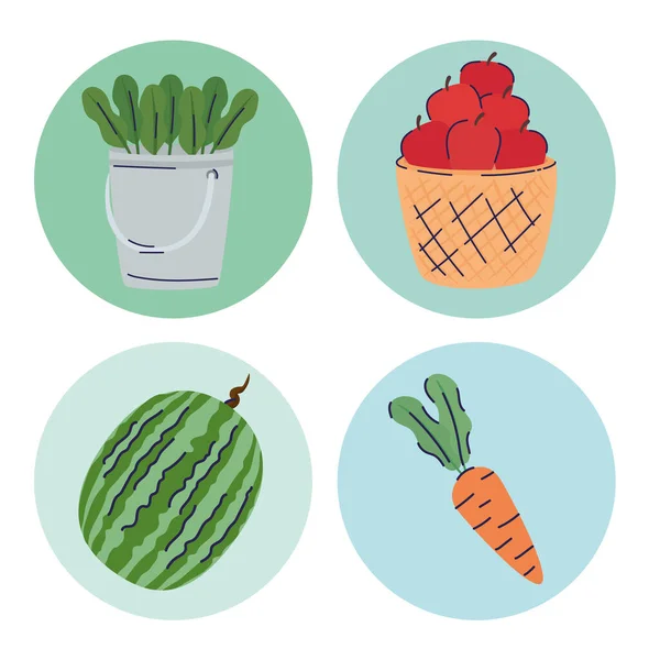Paquet de quatre fruits et légumes produits agricoles — Image vectorielle