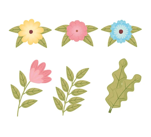 Bündel mit sechs Blumen und Blättern Farben Dekoration — Stockvektor