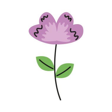 Güzel mor çiçek ve yapraklar bahçe süslemesi