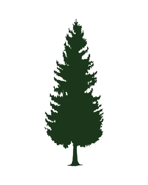 Yeşil yapraklı çam ağacı silueti simgesi — Stok Vektör