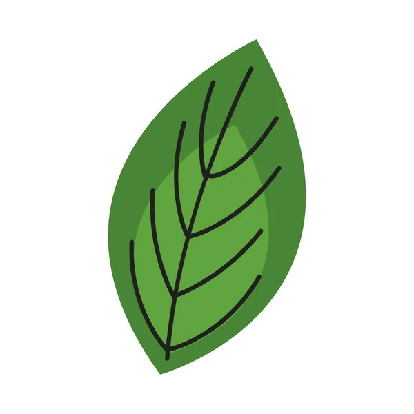 Ecology leafs plant foliage icon — Stock Vector