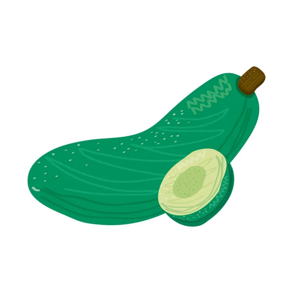 Pepino vegetal alimento saludable icono — Vector de stock