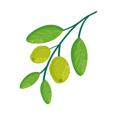 Ağaç dalında limon turunçgilleri