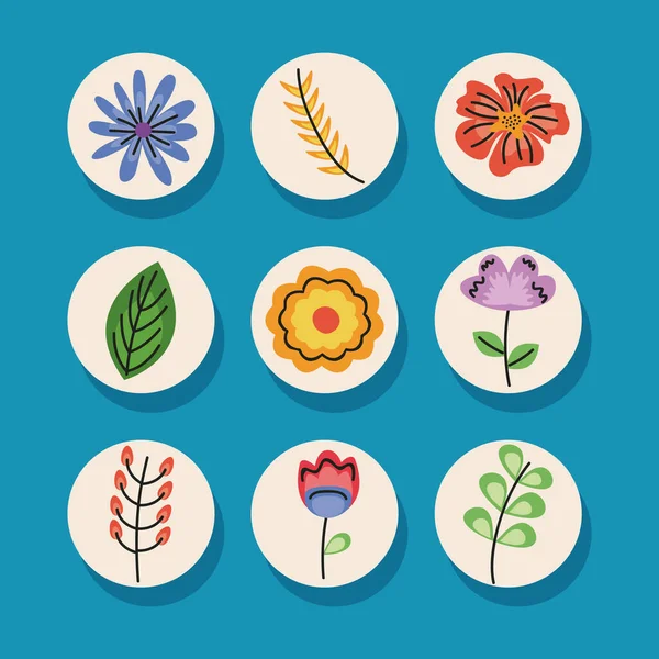 Pakiet dziewięciu ikon dekoracji kwiatowych — Wektor stockowy