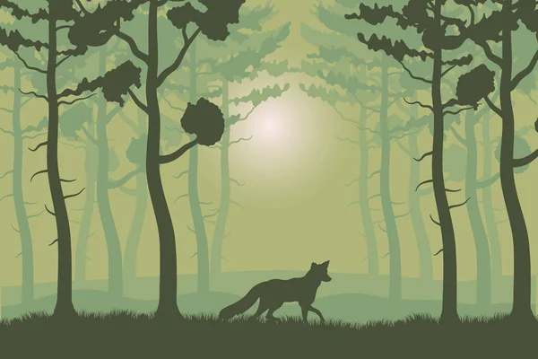 Trees plants and fox in green forest landscape scene — Stock Vector