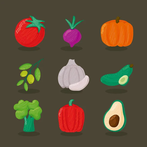 Bundle of nine vegetables healthy food icons — Stock Vector