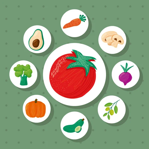 Tomate und Bündel von acht Gemüse gesunde Lebensmittel-Ikonen — Stockvektor