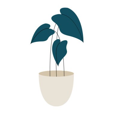 seramik saksı bitkisi doğa simgesi