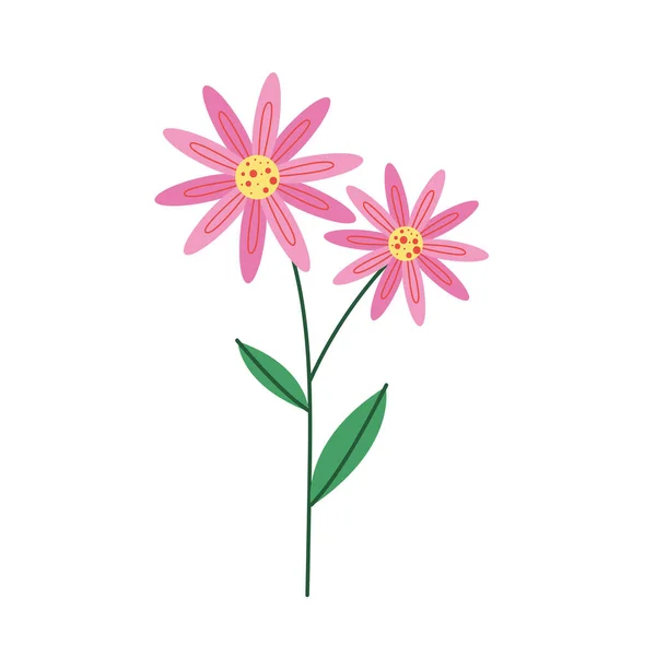 Roze bloemblaadjes bloemen natuur icoon — Stockvector