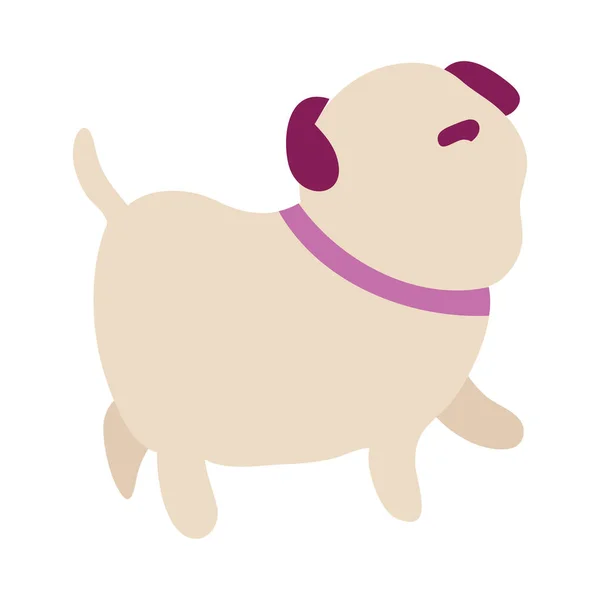 Aranyos kis kutya kabala karakter — Stock Vector