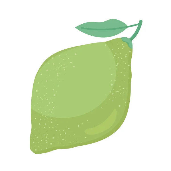 Süße Guave Frucht nahrhaftes Symbol — Stockvektor