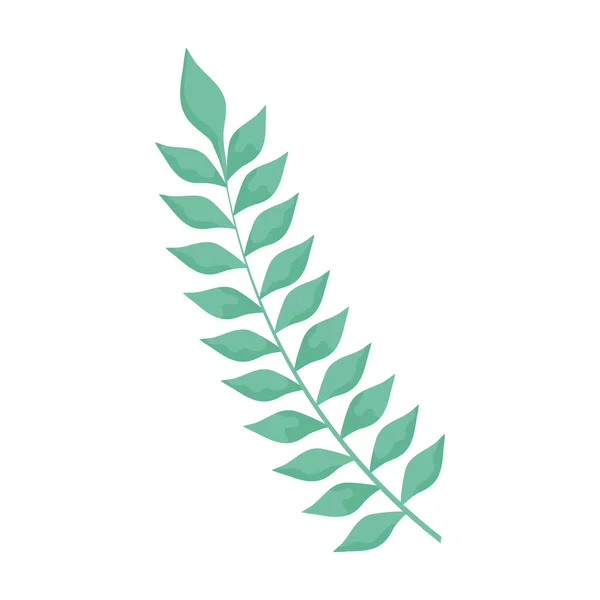 Φύλλα σε διακόσμηση κλαδί φύση — Διανυσματικό Αρχείο
