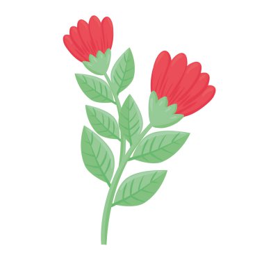 Güzel kırmızı çiçekler ve yapraklar bahar bitkileri