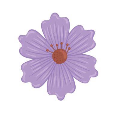 Şirin mor çiçek ilkbahar doğa ikonu