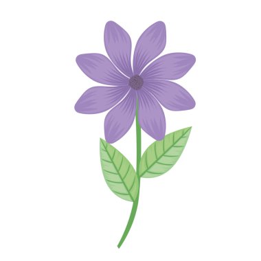 mor yapraklar çiçek ve yapraklar bahar ikonu