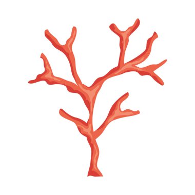 yosun bitkisi okyanus izole ikonu