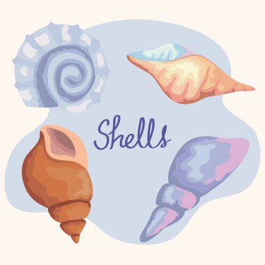 Dört deniz kabuğu rengi demeti simgeleri ve harfleri ayarlar