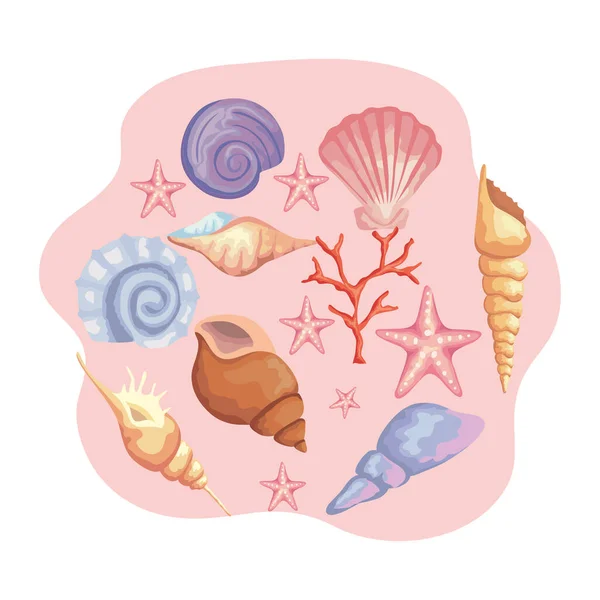 꽃무늬가 있는 바다 조개 껍질 색깔 다발 — 스톡 벡터